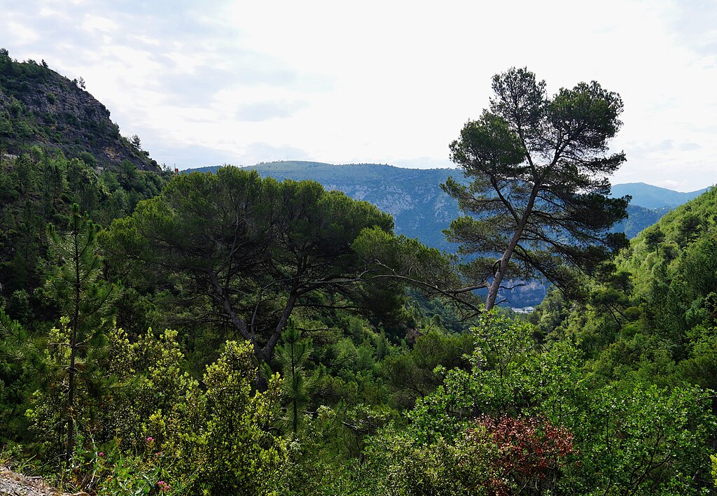 Monte escalier Alpes-Maritimes