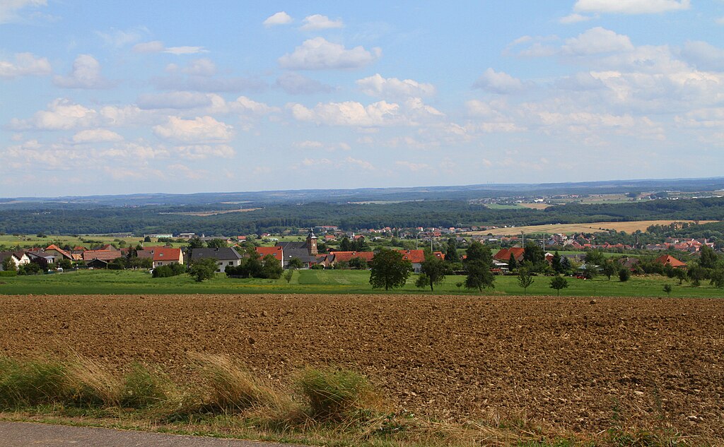 Monte escalier Moselle