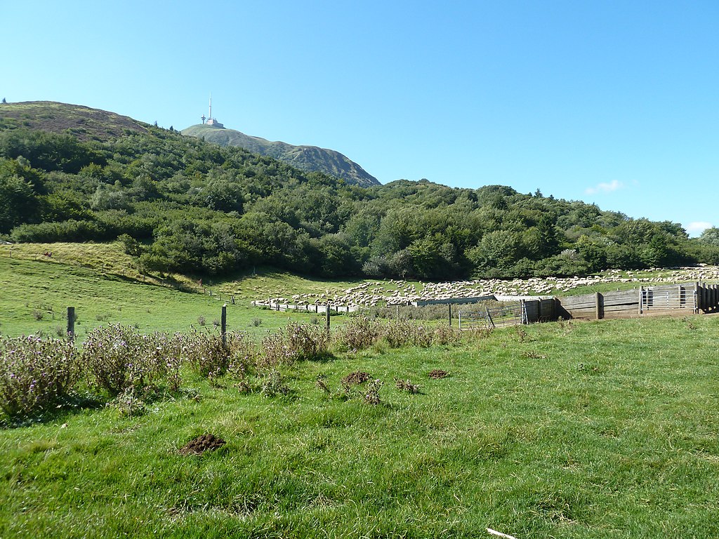Monte escalier Puy-de-Dôme