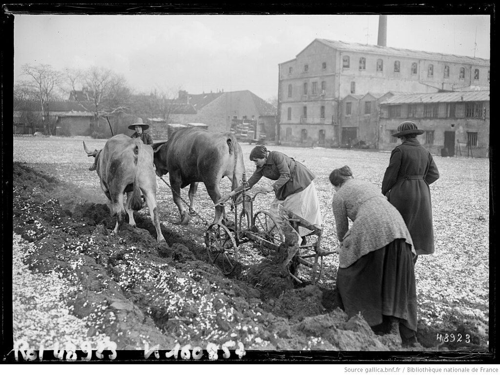 Monte escalier Val-de-Marne