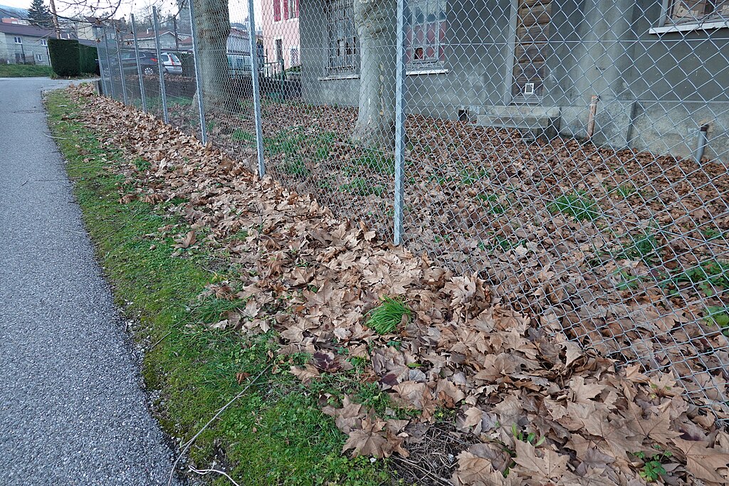 Monte escalier Bellegarde-sur-Valserine