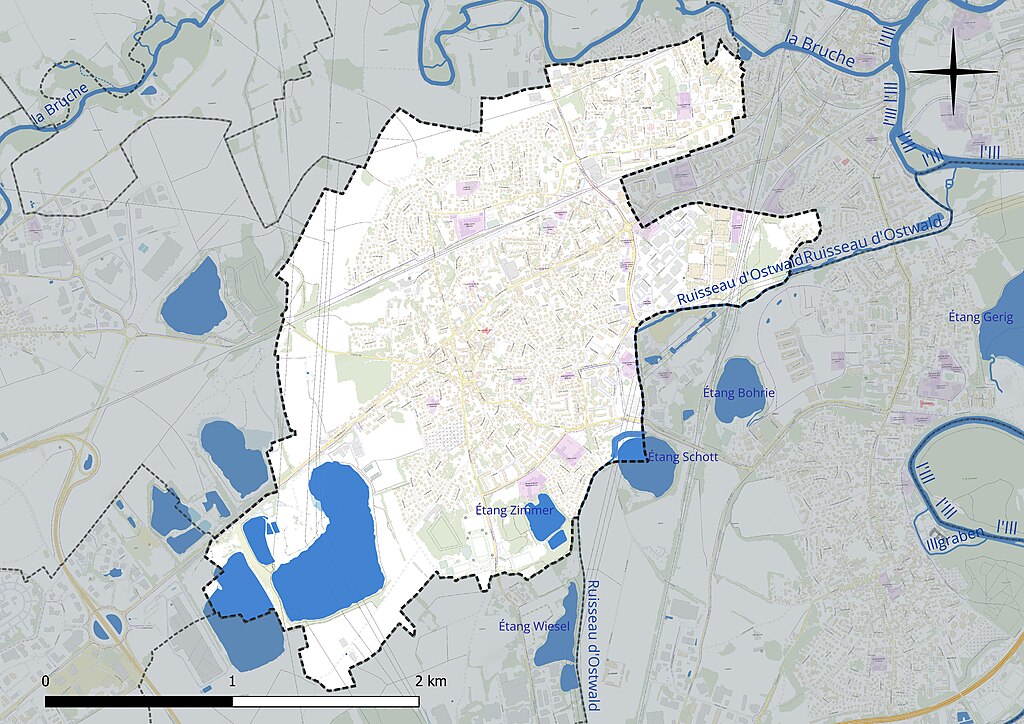 Monte escalier Lingolsheim