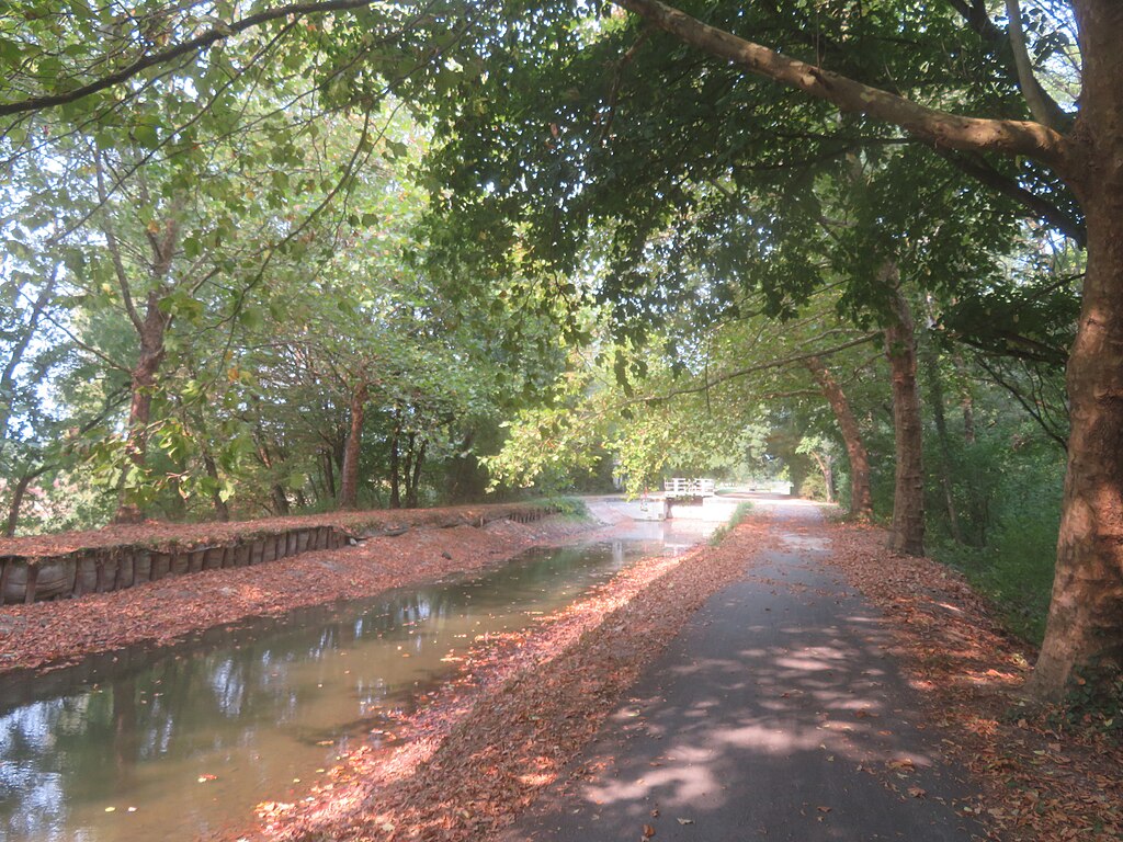 Monte escalier Vierzon