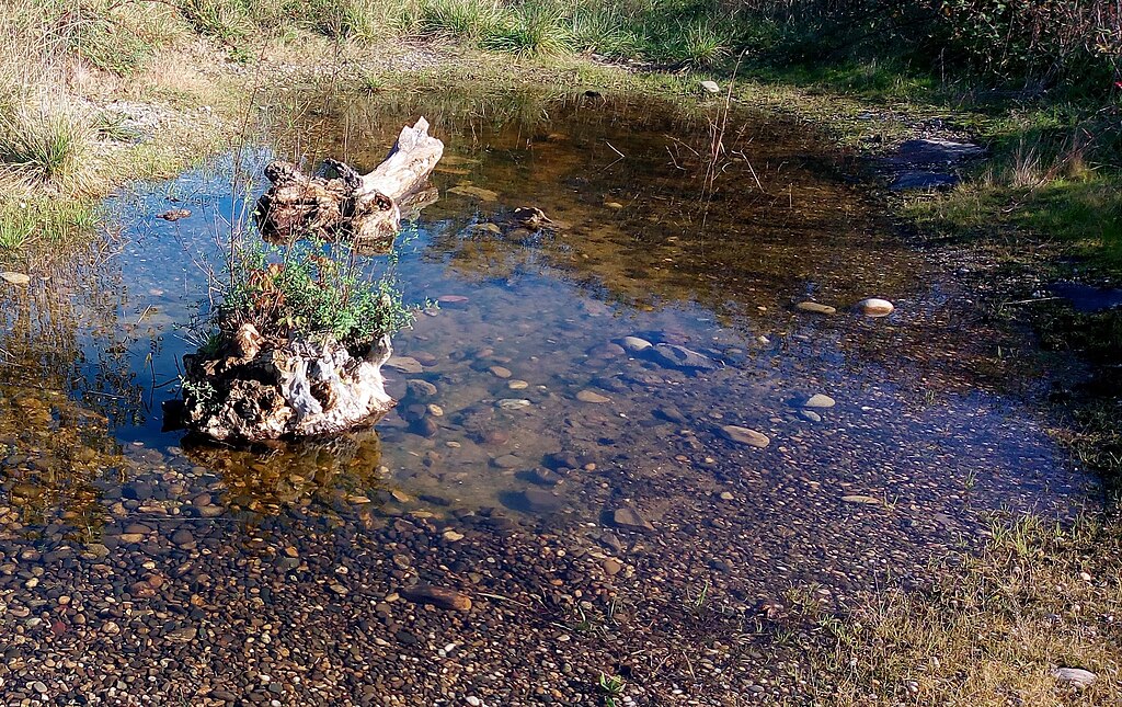 Monte escalier Wittenheim