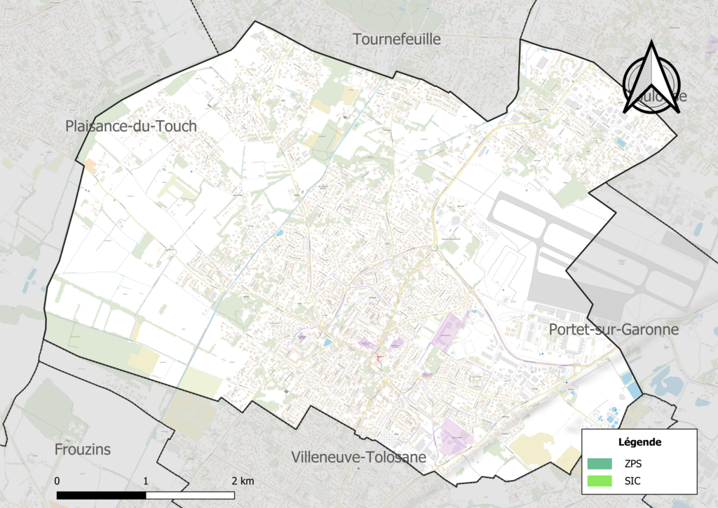 Monte escalier Cugnaux