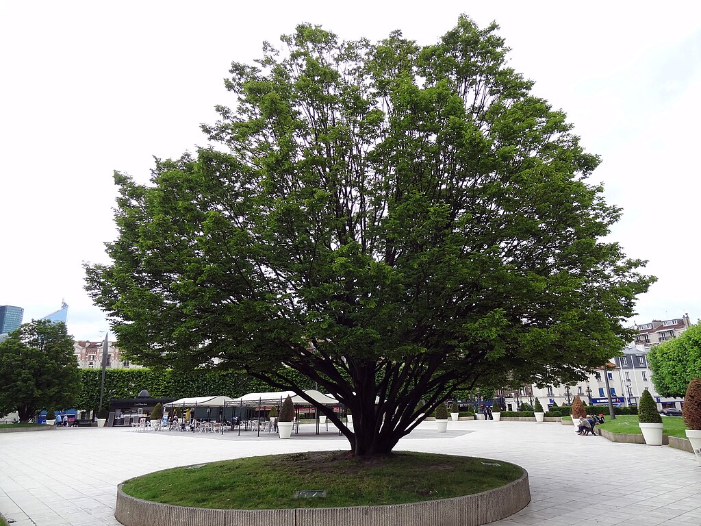 Monte escalier Puteaux