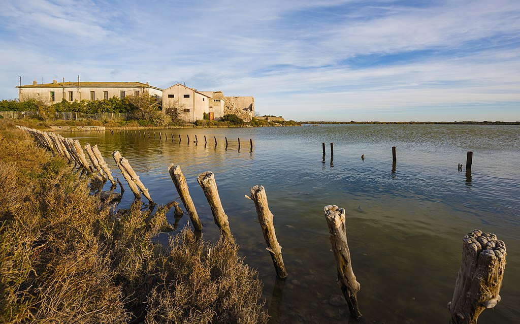 Monte escalier Frontignan