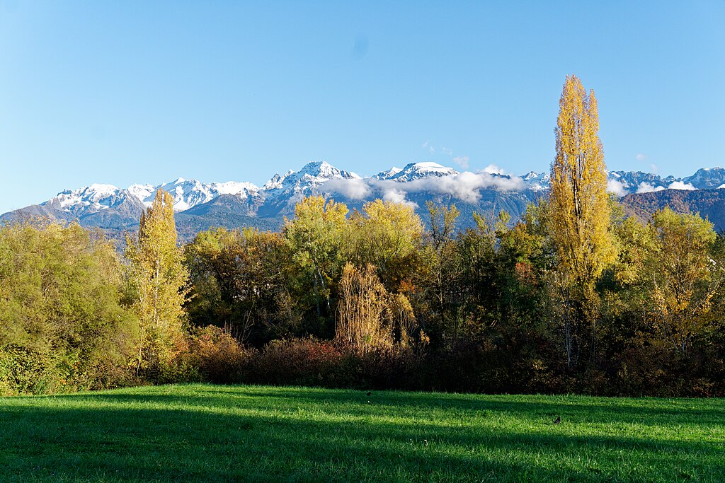 Monte escalier Meylan