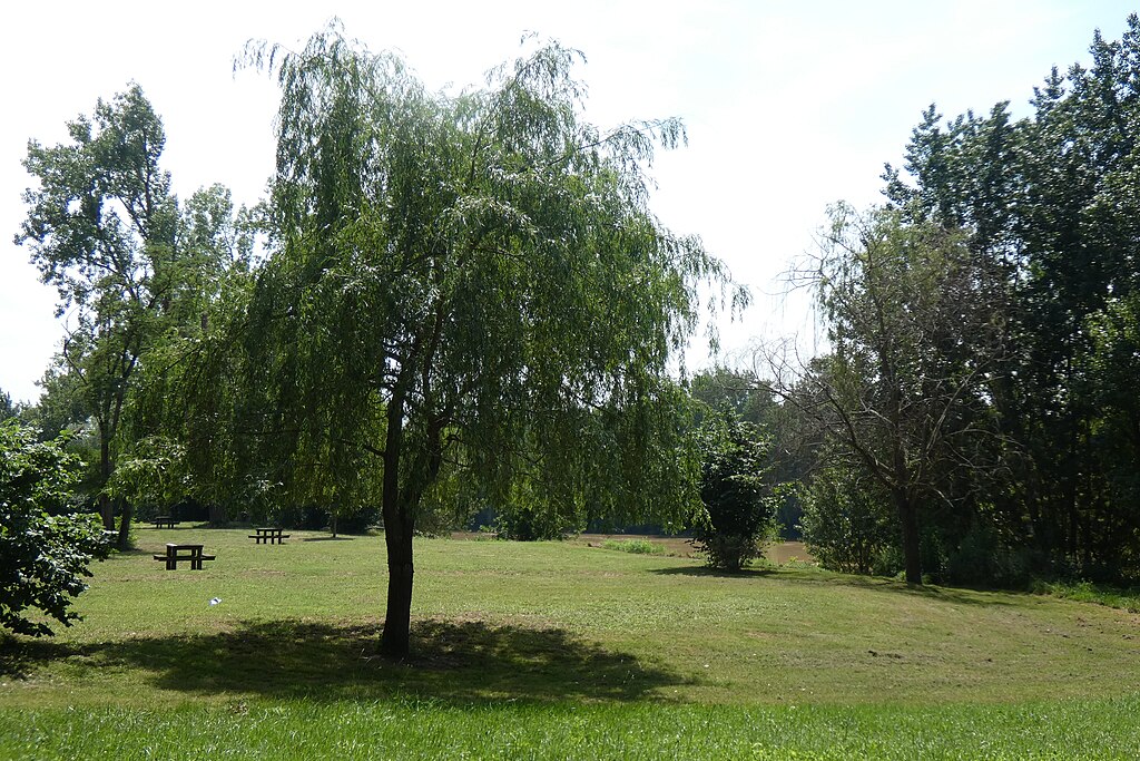 Monte escalier Marmande